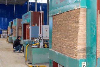 生产建筑木模板的设备-冷压机