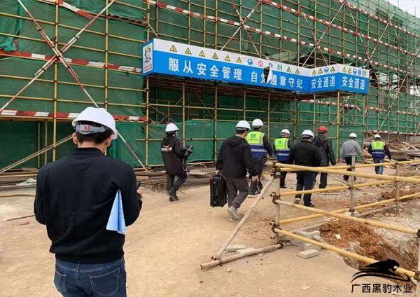 走进建筑施工现场，广西桉木模板质量见证