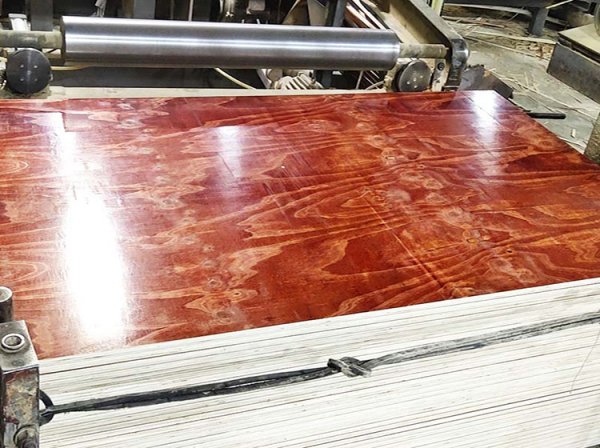 建筑木模板厂家-黑豹木模板产品介绍