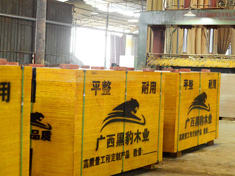 东龙镇-大型桉木建筑木模板生产基地